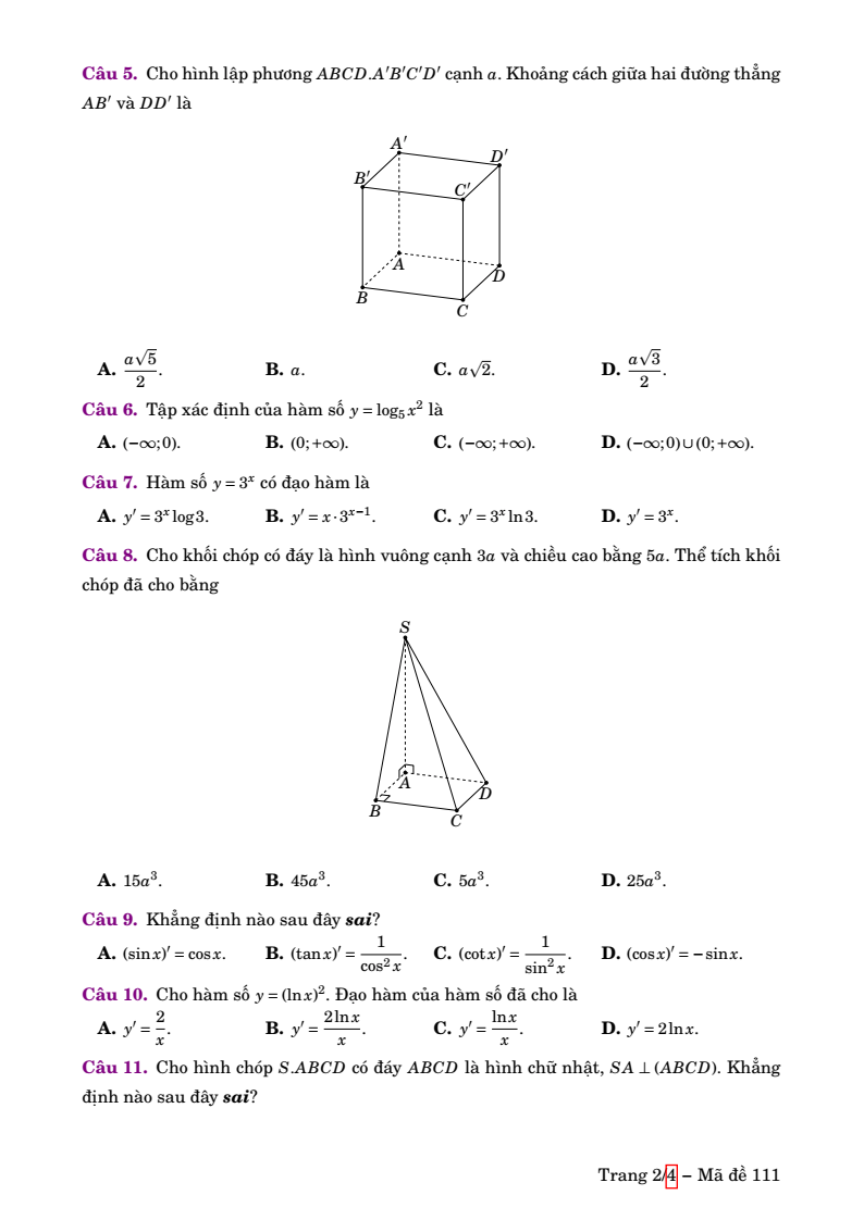 Đề thi Học kì 2 Toán 11 trường chuyên Lương Thế Vinh (Đồng Nai) năm 2024-2025