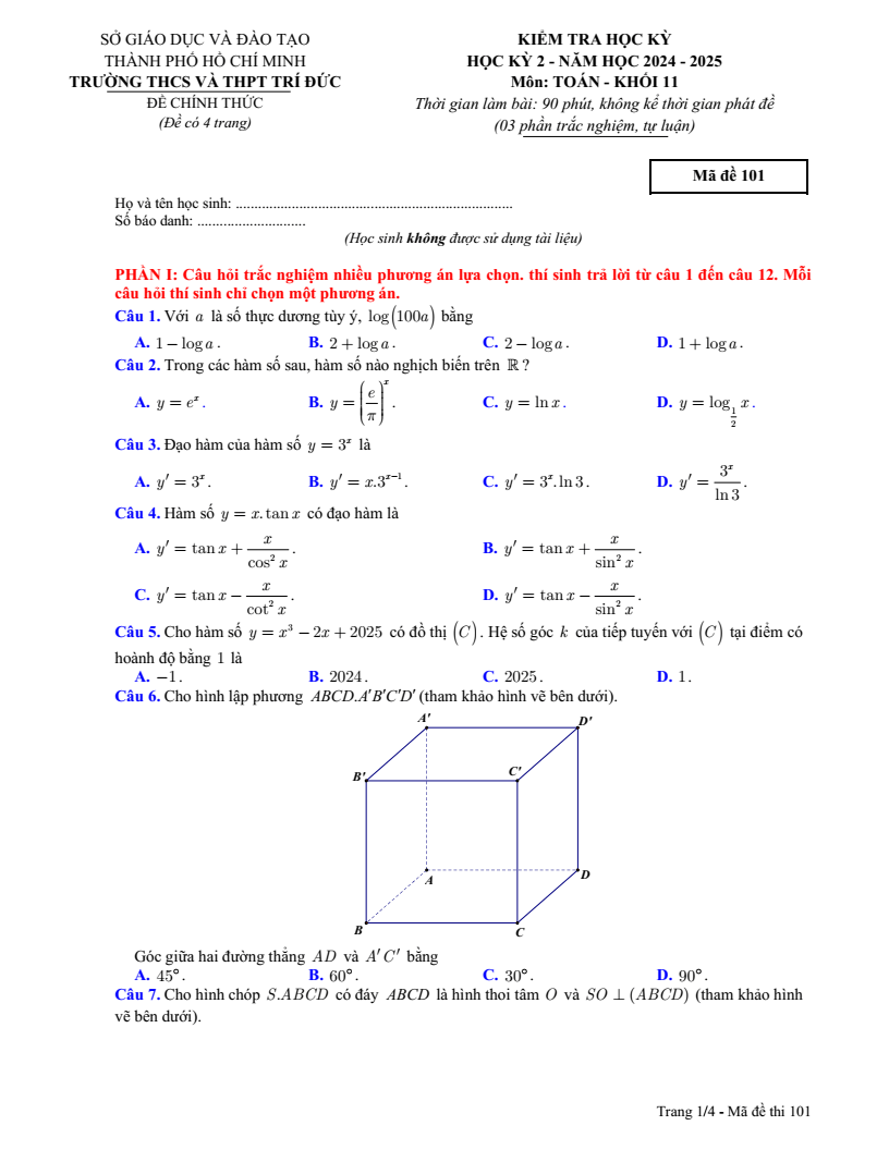Đề thi Học kì 2 Toán 11 trường THCS&THPT Trí Đức (Tp.HCM) năm 2024-2025