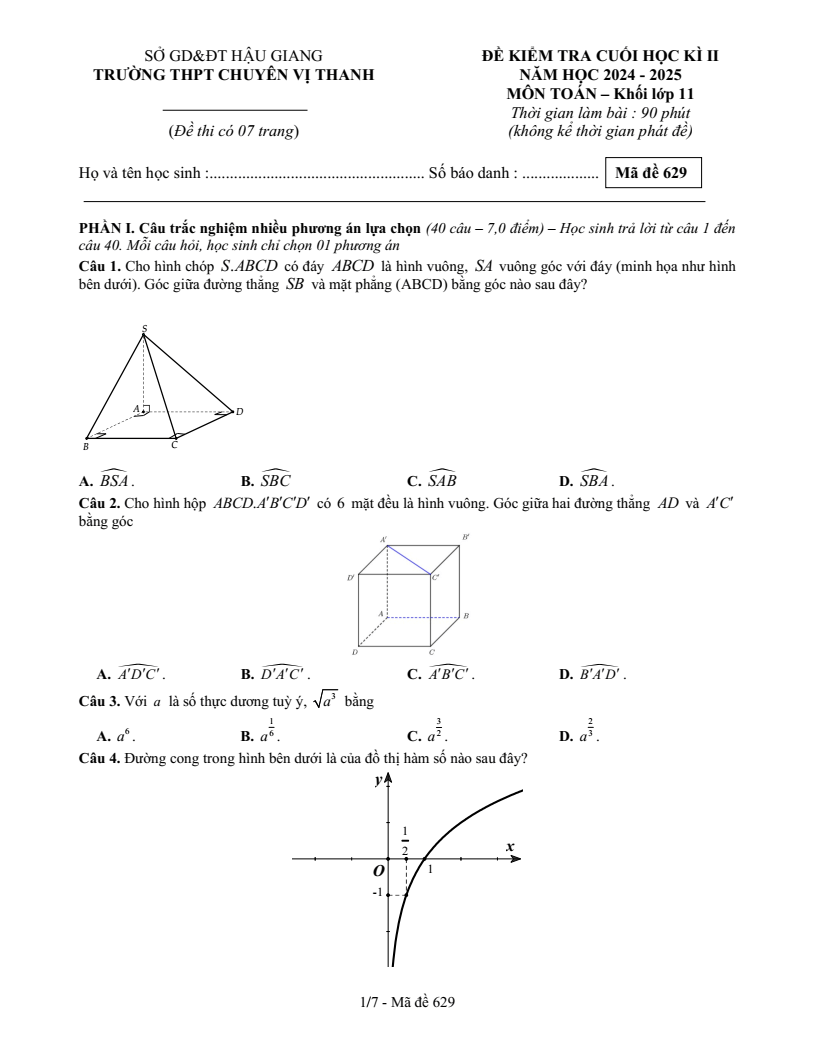 Đề thi Học kì 2 Toán 11 trường THPT chuyên Vị Thanh (Hậu Giang) năm 2024-2025