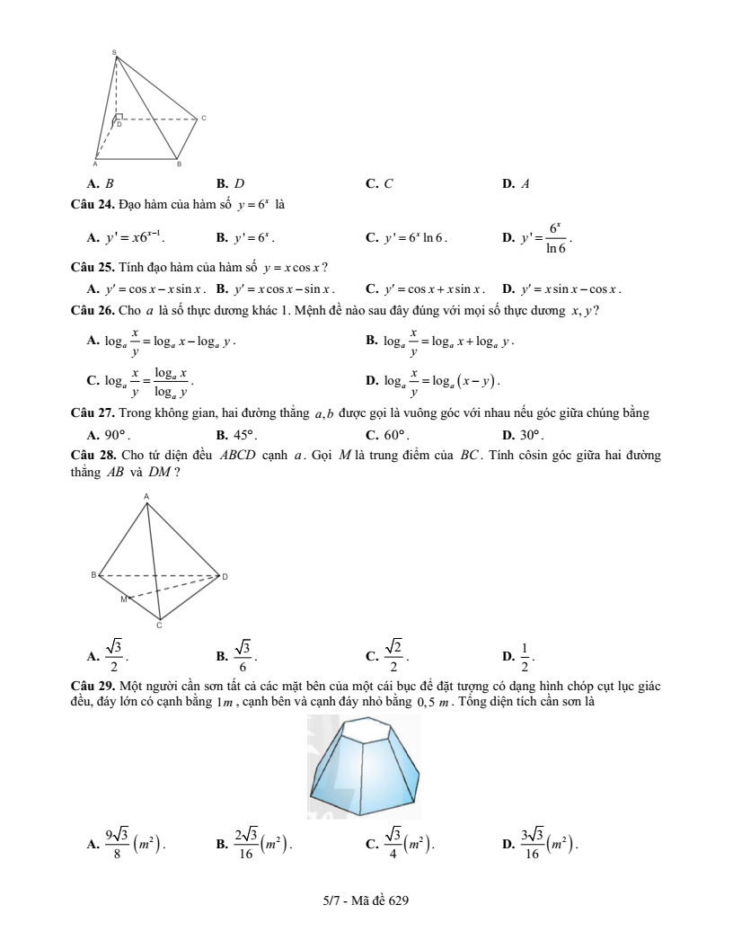 Đề thi Học kì 2 Toán 11 trường THPT chuyên Vị Thanh (Hậu Giang) năm 2024-2025