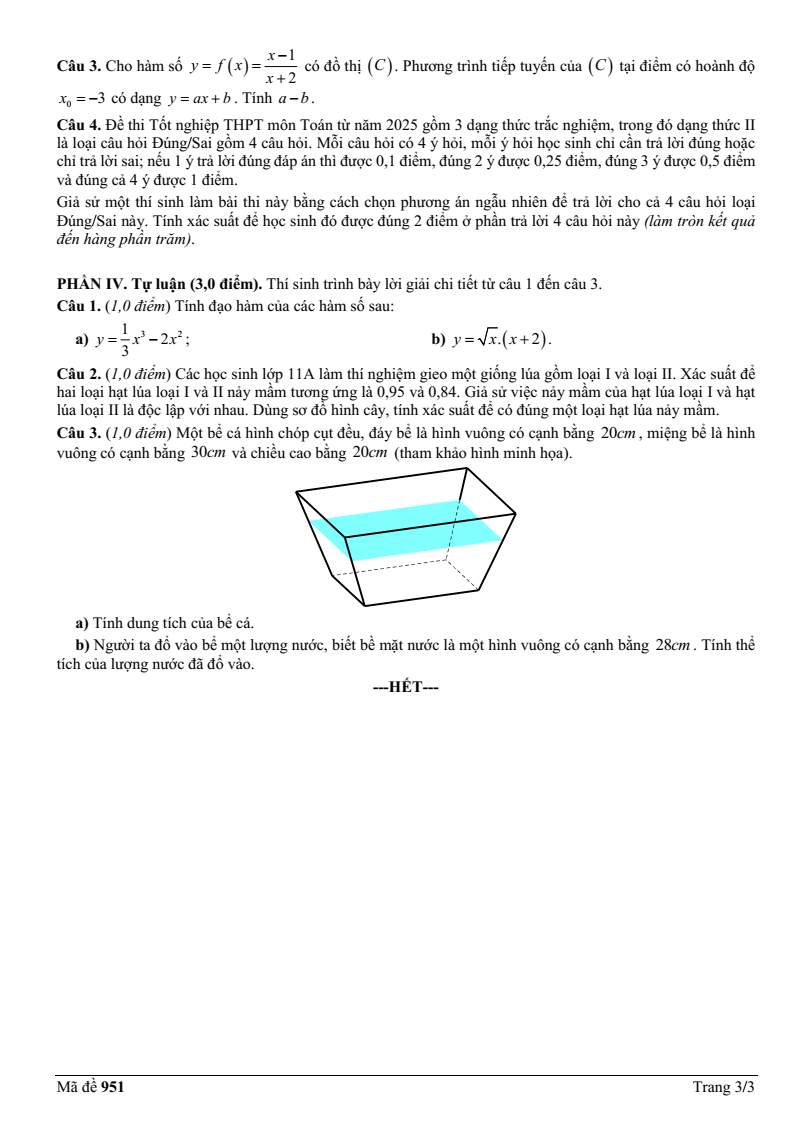 Đề thi Học kì 2 Toán 11 trường THPT Phạm Phú Thứ (Đà Nẵng) năm 2024-2025