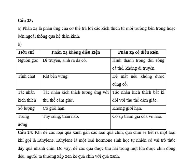 5+ Đề thi Giữa kì 2 Sinh học 11 Kết nối tri thức (cấu trúc mới, có đáp án)