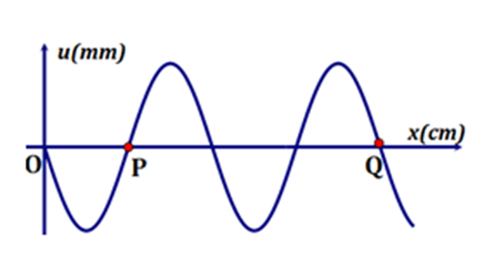 6 Đề thi Học kì 1 Vật lí 11 Cánh diều (có đáp án, cấu trúc mới)
