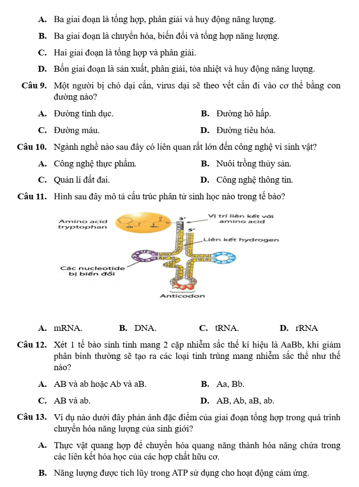 Đề khảo sát đầu năm Sinh học 11 năm 2024-2025 trường THPT Thuận Thành Số 1 (Bắc Ninh)