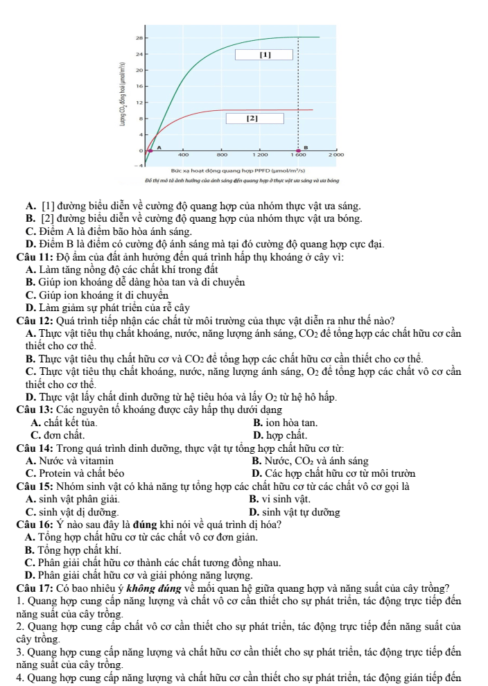 Đề thi Giữa kì 1 Sinh học 11 năm 2024-2025 trường THPT Gio Linh (Quảng Trị)