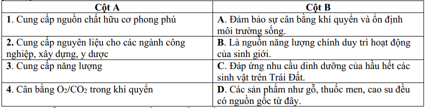 Đề thi Giữa kì 1 Sinh học 11 năm 2024-2025 trường THPT Nguyễn Huệ (Quảng Nam)