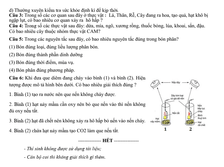 Đề thi Giữa kì 1 Sinh học 11 năm 2025-2026 trường THPT Số 1 Lê Hồng Phong (Đắk Lắk)