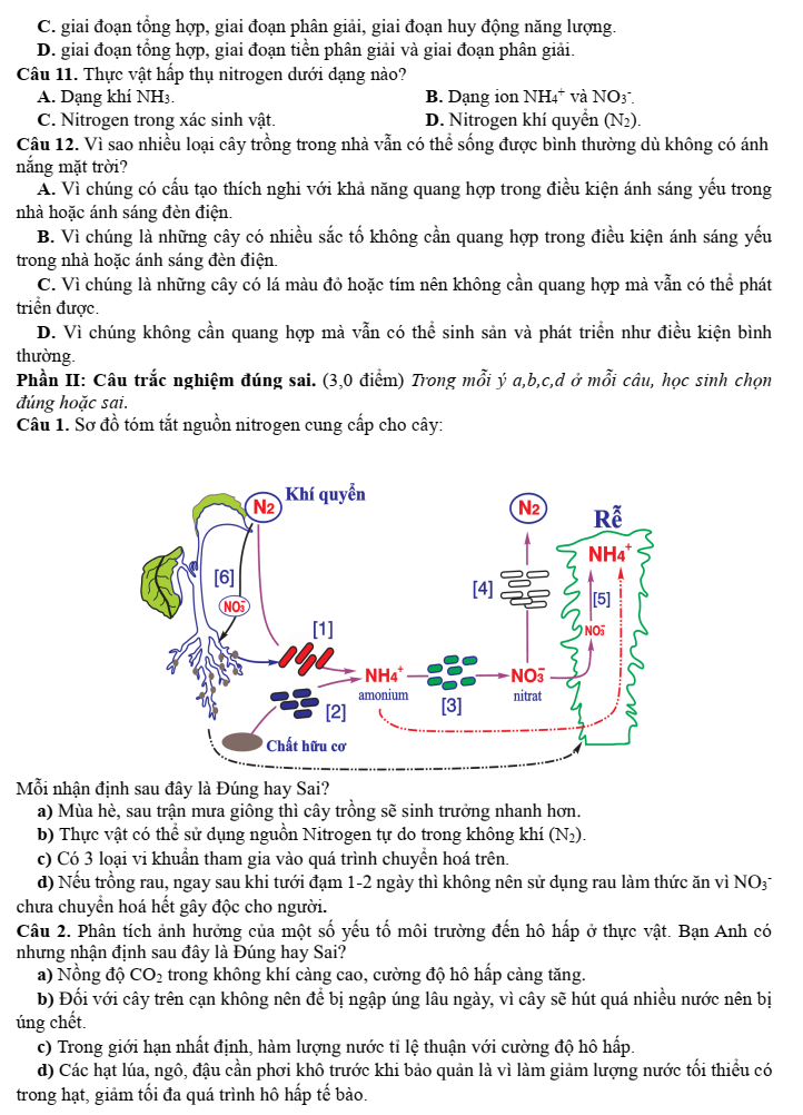 Đề thi Giữa kì 1 Sinh học 11 năm 2025-2026 trường THPT Số 1 Ngô Gia Tự (Đắk Lắk)