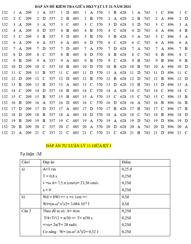 Đề thi Giữa kì 1 Vật lí 11 năm 2024-2025 trường THPT Hùng Vương (Quảng Nam)