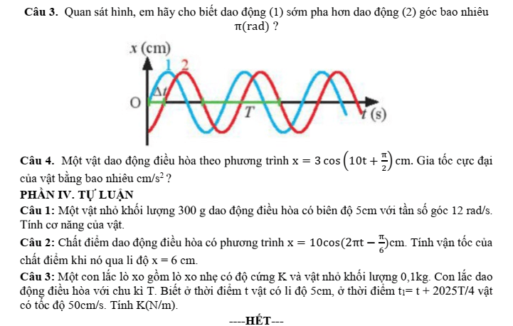 Đề thi Giữa kì 1 Vật lí 11 năm 2025-2026 trường THPT Số 1 Ngô Gia Tự (Đắk Lắk)