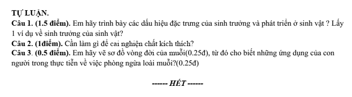 Đề thi Giữa kì 2 Sinh học 11 năm 2024-2025 trường THPT Bố Hạ (Bắc Giang)