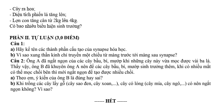 Đề thi Giữa kì 2 Sinh học 11 năm 2025-2026 trường THPT Duy Tân (Quảng Ngãi)
