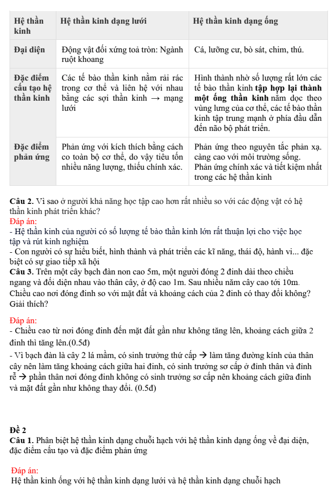 Đề thi Giữa kì 2 Sinh học 11 năm 2024-2025 trường THPT Gio Linh (Quảng Trị)