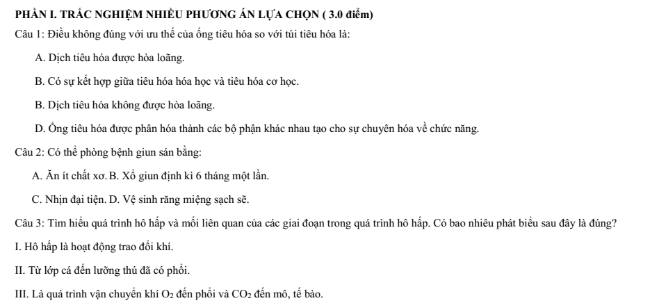 Đề thi Học kì 1 Sinh học 11 năm 2024-2025 trường THPT Bình Chiểu (TP HCM)