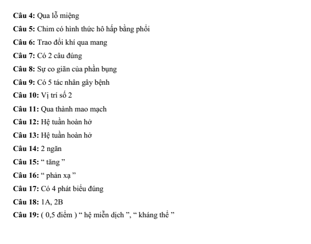 Đề thi Học kì 1 Sinh học 11 năm 2024-2025 trường THPT Bình Chiểu (TP HCM)