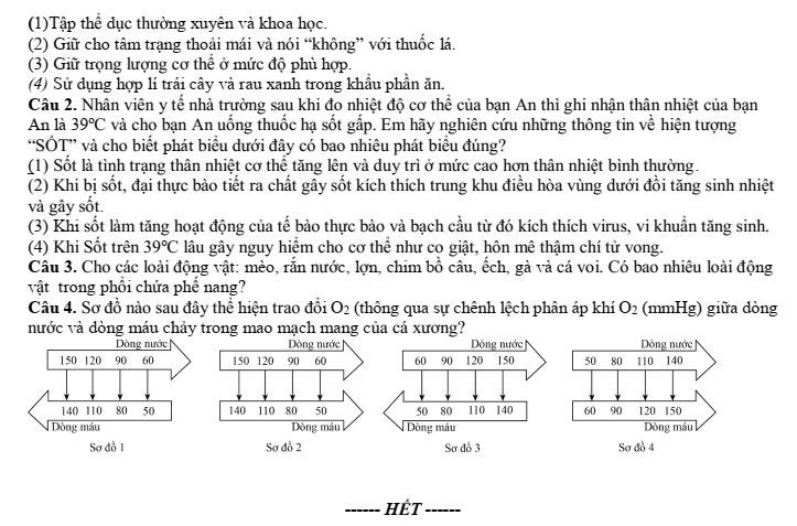Đề thi Học kì 1 Sinh học 11 năm 2024-2025 trường THPT Hồ Nghinh (Quảng Nam)