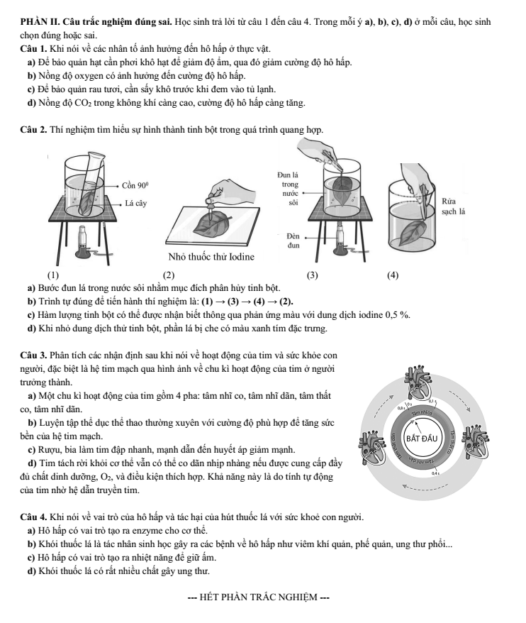 Đề thi Học kì 1 Sinh học 11 năm 2025-2026 trường THPT Lương Thế Vinh (TP HCM)