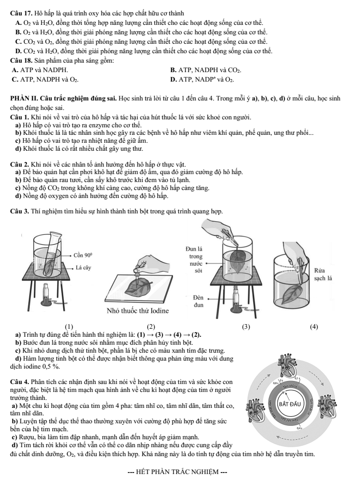 Đề thi Học kì 1 Sinh học 11 năm 2025-2026 trường THPT Lương Thế Vinh (TP HCM)