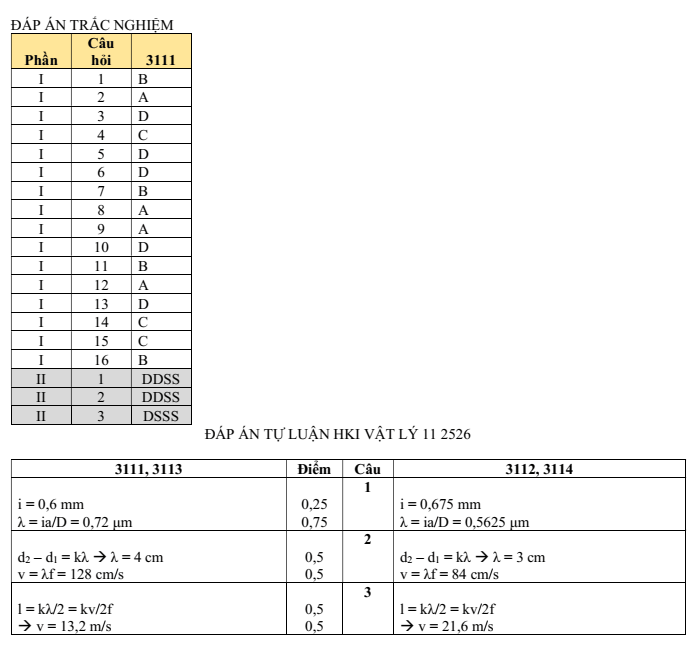 Đề thi Học kì 1 Vật lí 11 năm 2025-2026 trường THPT Lương Thế Vinh (TP HCM)
