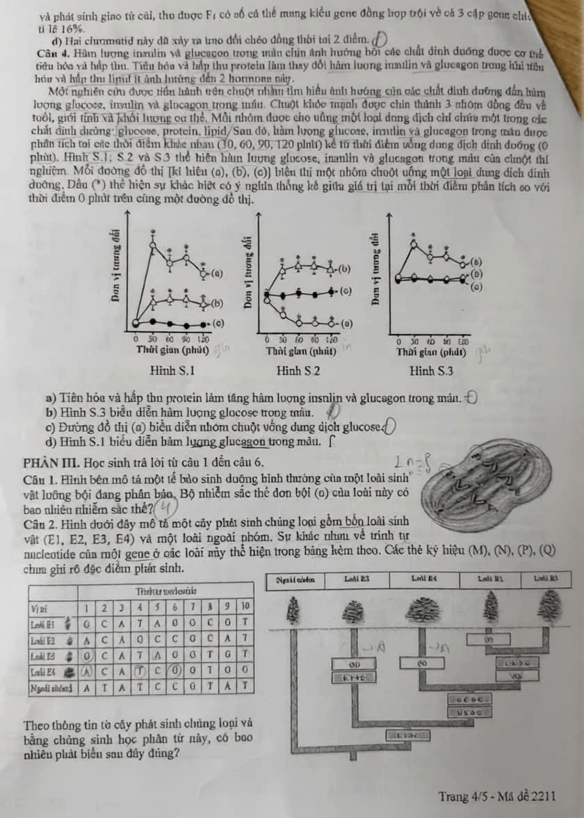 Đề khảo sát Sinh học 12 Hà Nội năm 2026
