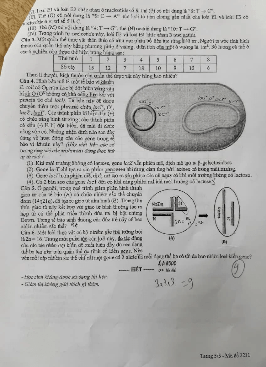 Đề khảo sát Sinh học 12 Hà Nội năm 2026