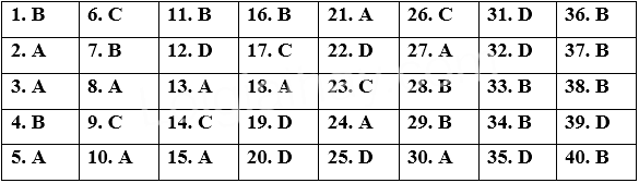 Đề thi Cuối kì 2 Tiếng Anh 12 Bright năm 2025 (có đáp án)