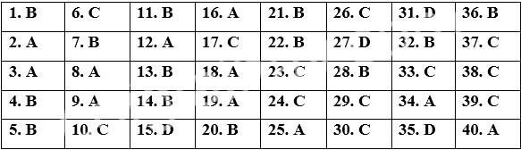 Đề thi Cuối kì 2 Tiếng Anh 12 Bright năm 2025 (có đáp án)