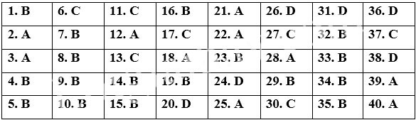 Đề thi Giữa kì 2 Tiếng Anh 12 Bright năm 2025 (có đáp án)