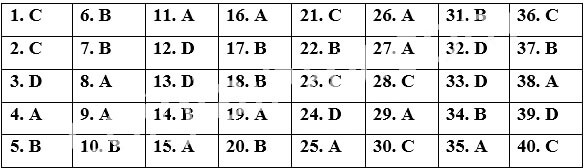 Đề thi Giữa kì 2 Tiếng Anh 12 Bright năm 2025 (có đáp án)