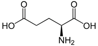 3 Đề thi Giữa kì Hóa học 12 Cánh diều (có đáp án, cấu trúc mới)