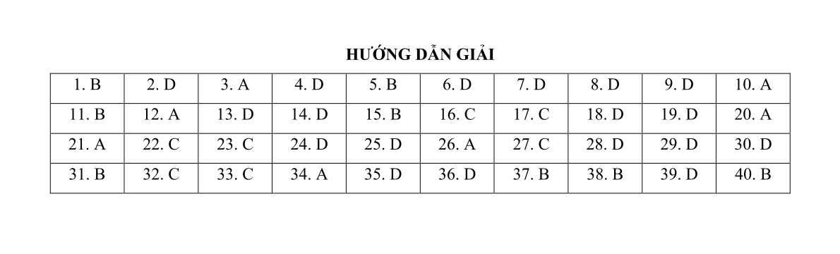 Đề thi Học kì 2 Tiếng Anh 12 năm 2024-2025 trường THPT Ngô Gia Tự (Đắk Lắk)
