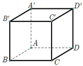10 Đề thi Giữa kì 1 Toán 12 Chân trời sáng tạo (có đáp án, cấu trúc mới)