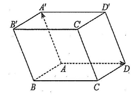 10 Đề thi Học kì 1 Toán 12 Cánh diều (có đáp án, cấu trúc mới)