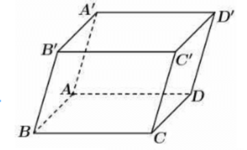 10 Đề thi Học kì 1 Toán 12 Chân trời sáng tạo (có đáp án, cấu trúc mới)
