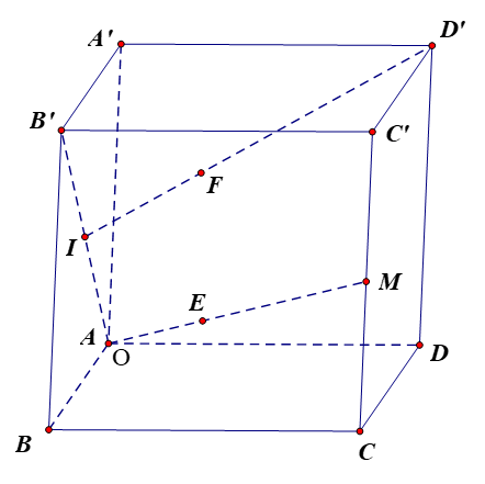 10 Đề thi Học kì 1 Toán 12 Chân trời sáng tạo (có đáp án, cấu trúc mới)