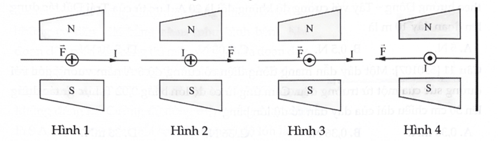 3 Đề thi Giữa kì 2 Vật Lí 12 Chân trời sáng tạo (có đáp án + ma trận)