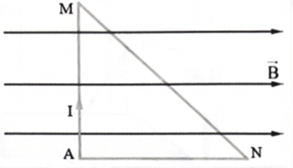 3 Đề thi Giữa kì 2 Vật Lí 12 Chân trời sáng tạo (có đáp án + ma trận)