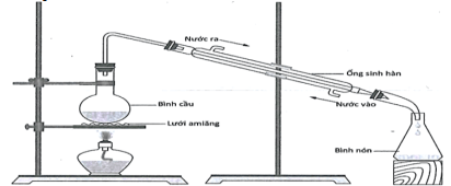Đề thi Giữa kì 1 Hóa học 12 năm 2024-2025 trường THPT Gio Linh (Quảng Trị)