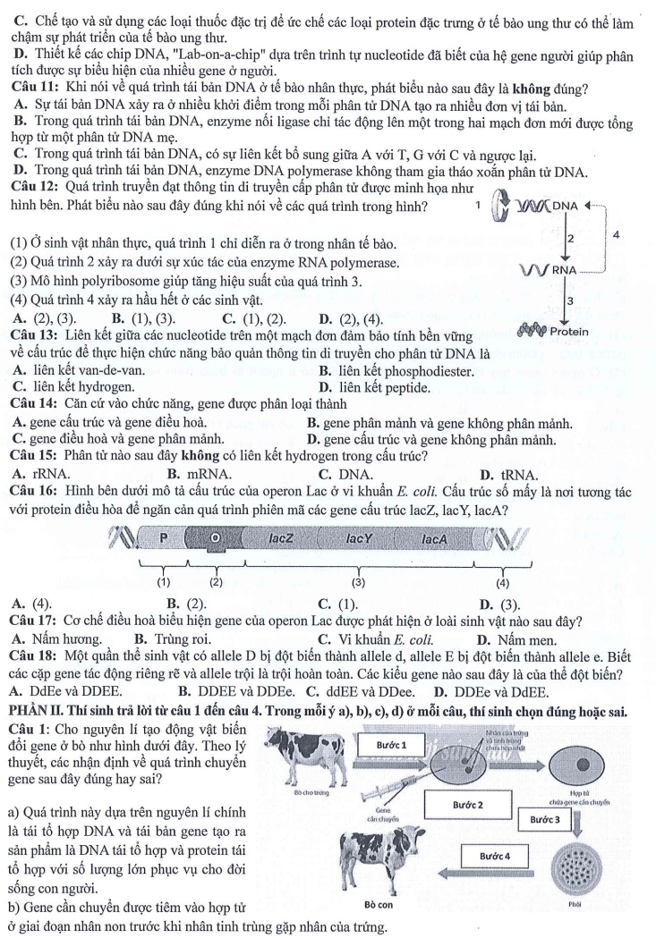 Đề thi Giữa kì 1 Sinh học 12 năm 2024-2025 trường THPT Dĩ An (Bình Dương)