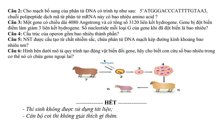 Đề thi Giữa kì 1 Sinh học 12 năm 2025-2026 trường THPT Số 1 Lê Hồng Phong (Đăk Lăk)