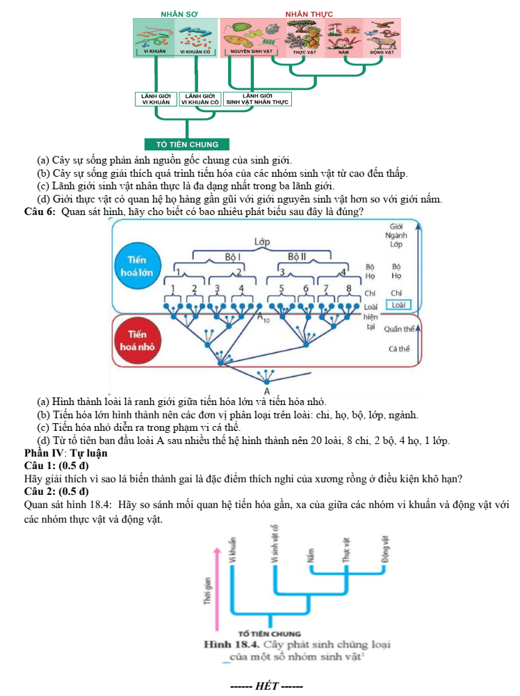 Đề thi Giữa kì 2 Sinh học 12 năm 2025-2026 trường THPT Duy Tân (Quảng Ngãi)