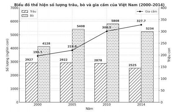 Đề thi Học kì 1 Địa Lí 12 năm 2025-2026 trường THPT Lương Thế Vinh (TP. HCM)