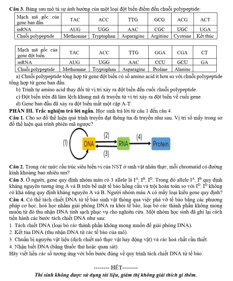 Đề thi Học kì 1 Sinh học 12 năm 2024-2025 Sở Kiên Giang