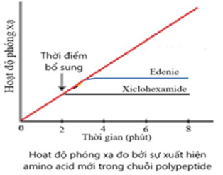 Đề thi Học kì 1 Sinh học 12 năm 2024-2025 Sở Nam Định