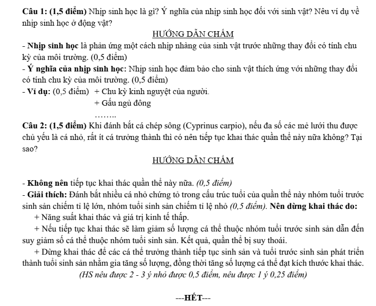 Đề thi Học kì 2 Sinh học 12 năm 2024-2025 trường THPT Hồ Nghinh (Quảng Nam)