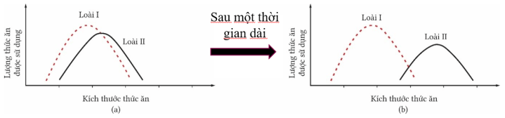 Đề thi Học kì 2 Sinh học 12 năm 2024-2025 trường THPT Hồ Nghinh (Quảng Nam)