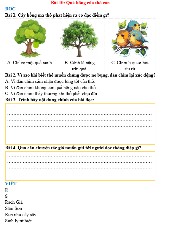 Bài tập hàng ngày Tiếng Việt lớp 3 Bài 10: Quả hồng của thỏ con | Kết nối tri thức