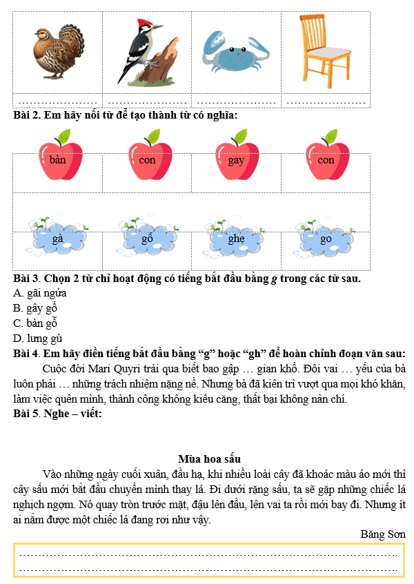 Bài tập hàng ngày Tiếng Việt lớp 3 Bài 3: Cánh rừng trong nắng | Kết nối tri thức