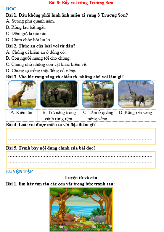 Bài tập hàng ngày Tiếng Việt lớp 3 Bài 8: Bầy voi rừng Trường Sơn | Kết nối tri thức