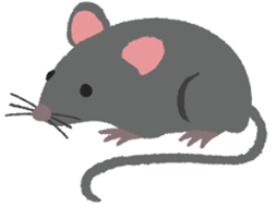 Đề cương ôn tập Học kì 2 Tiếng Anh lớp 3 Family and Friends (có lời giải)